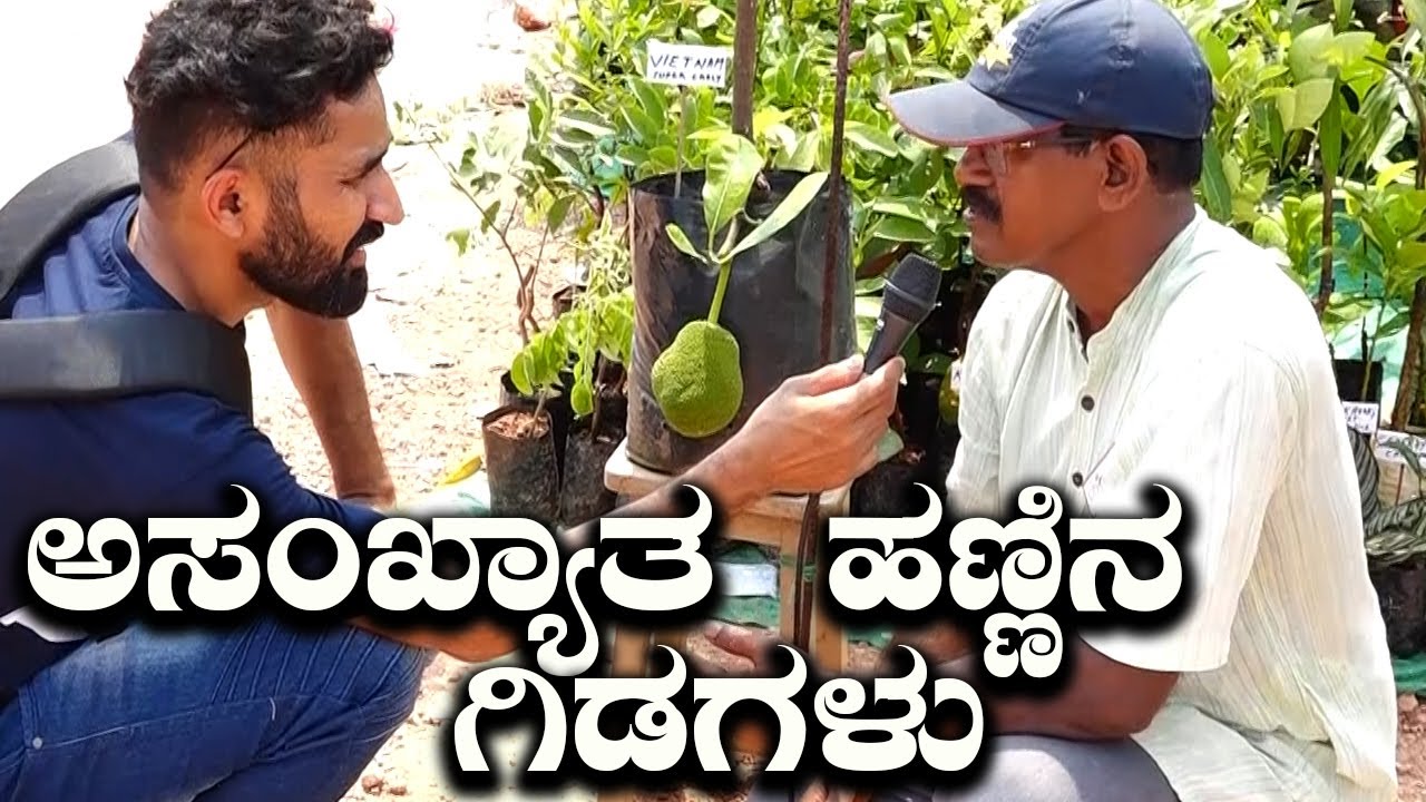 Largest Exotic Fruits Collection From 100+ Countries At Mangalore Chiguru Nursery | Kannada Vlogs