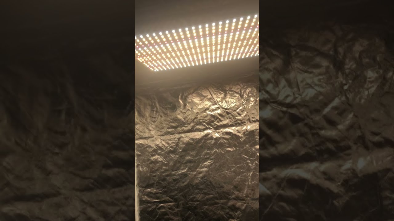 My first cannabis&rsquo;s grow set up ‼️