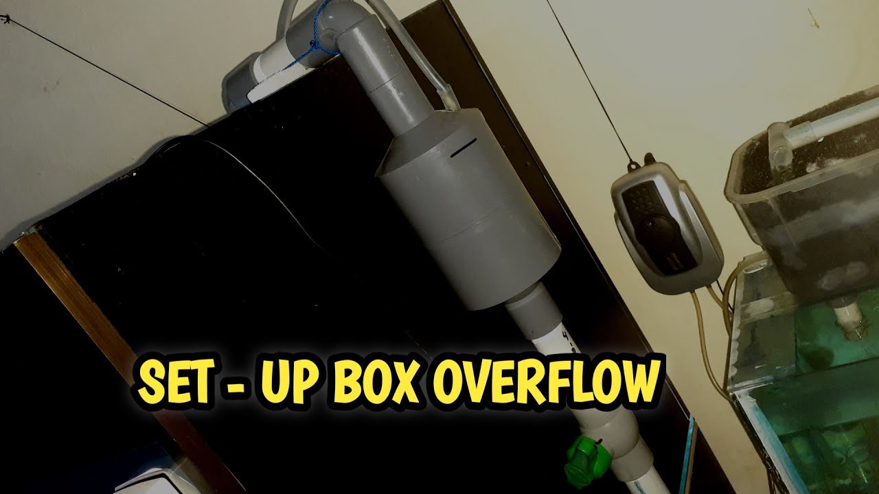 set-up pipa overflow sump filter tanpa melubangi kaca aquarium