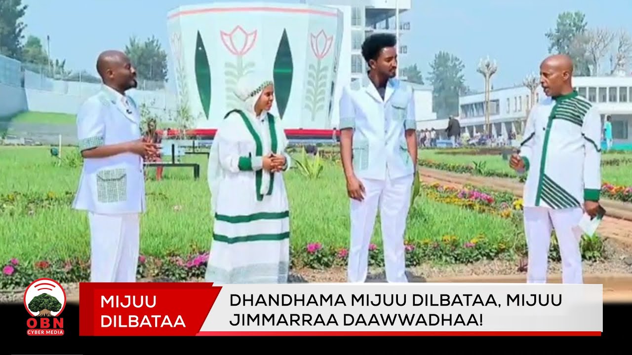Dhandhama Mijuu Dilbataa, Mijuu Jimmarraa Daawwadhaa!
