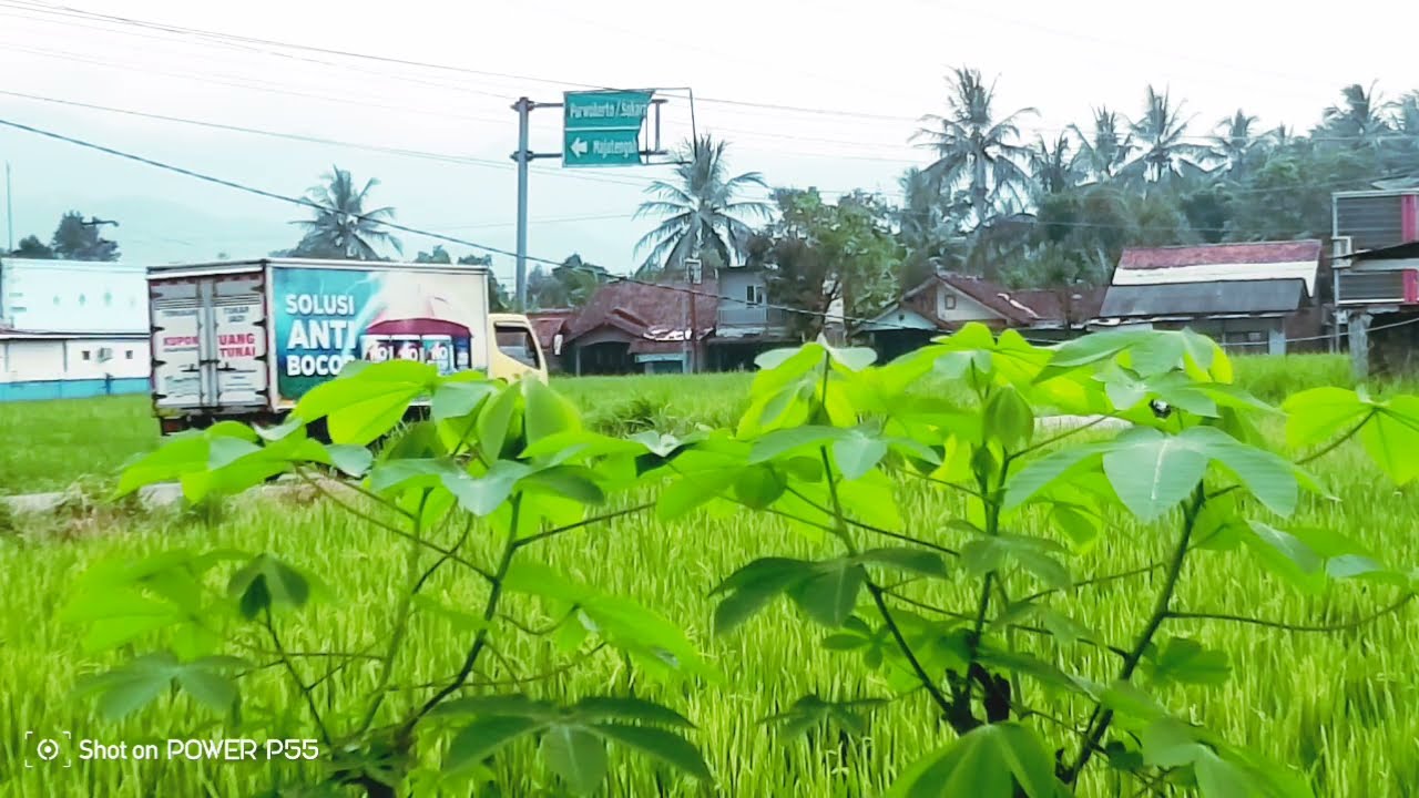 MUSIK TERBAIK CAMPURSARI COKEK
