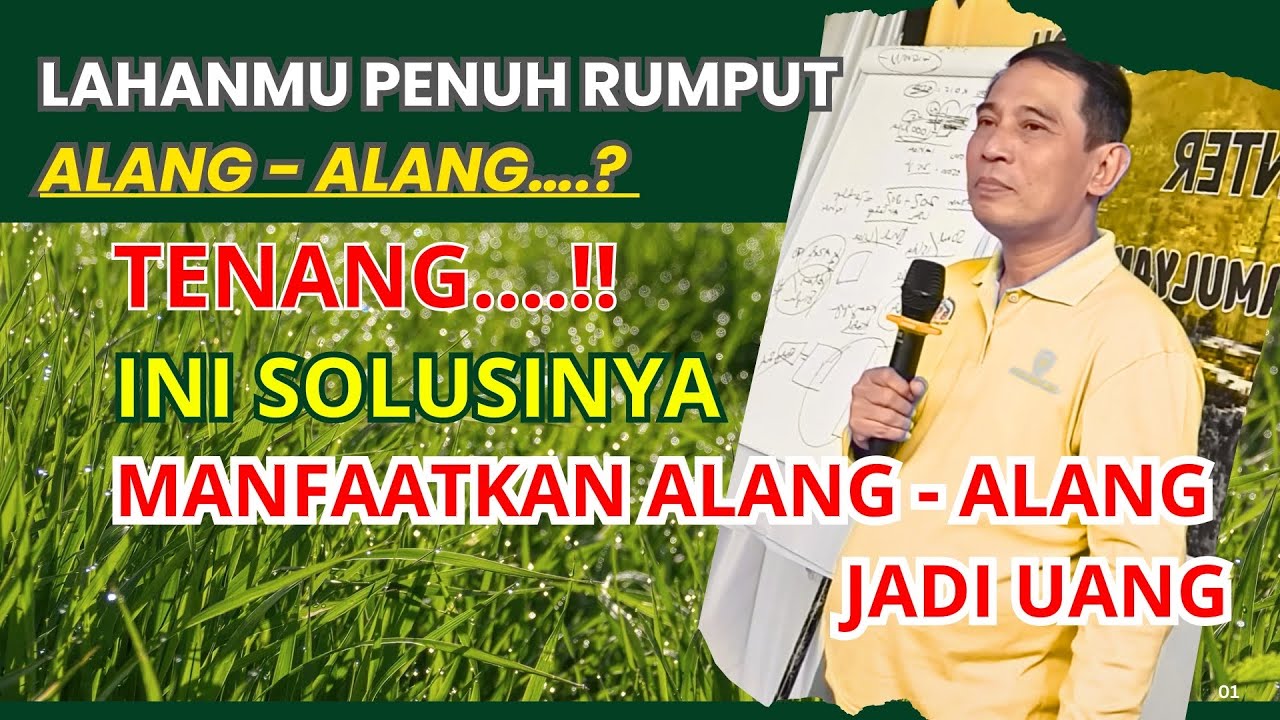 INI CARA membasmi ALANG ALANG pada lahan anda dengan metode BSM #bayudiningrat