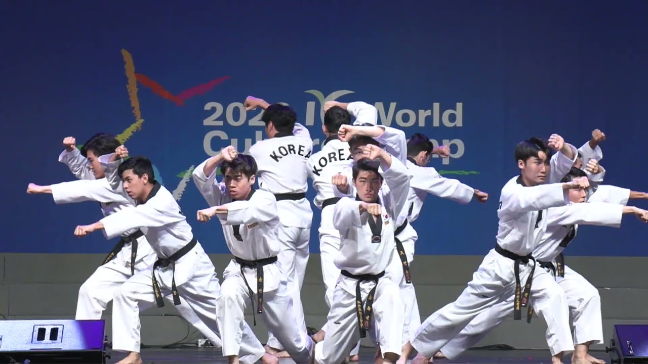 Tae Kwon Do | IYF World Culture Camp Costa Rica 2020