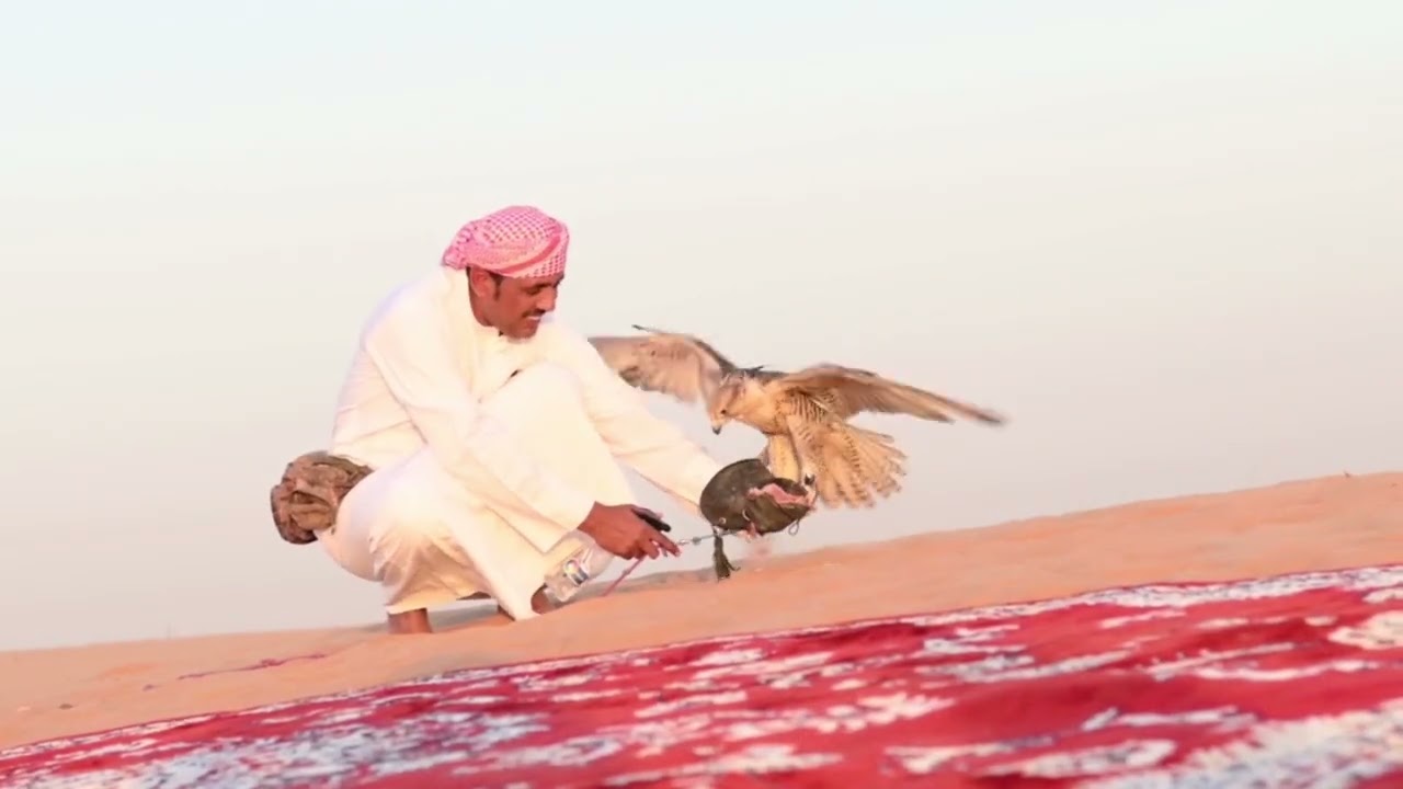 Experience the Ultimate Luxury Desert Adventure with 57 Safari Dubai