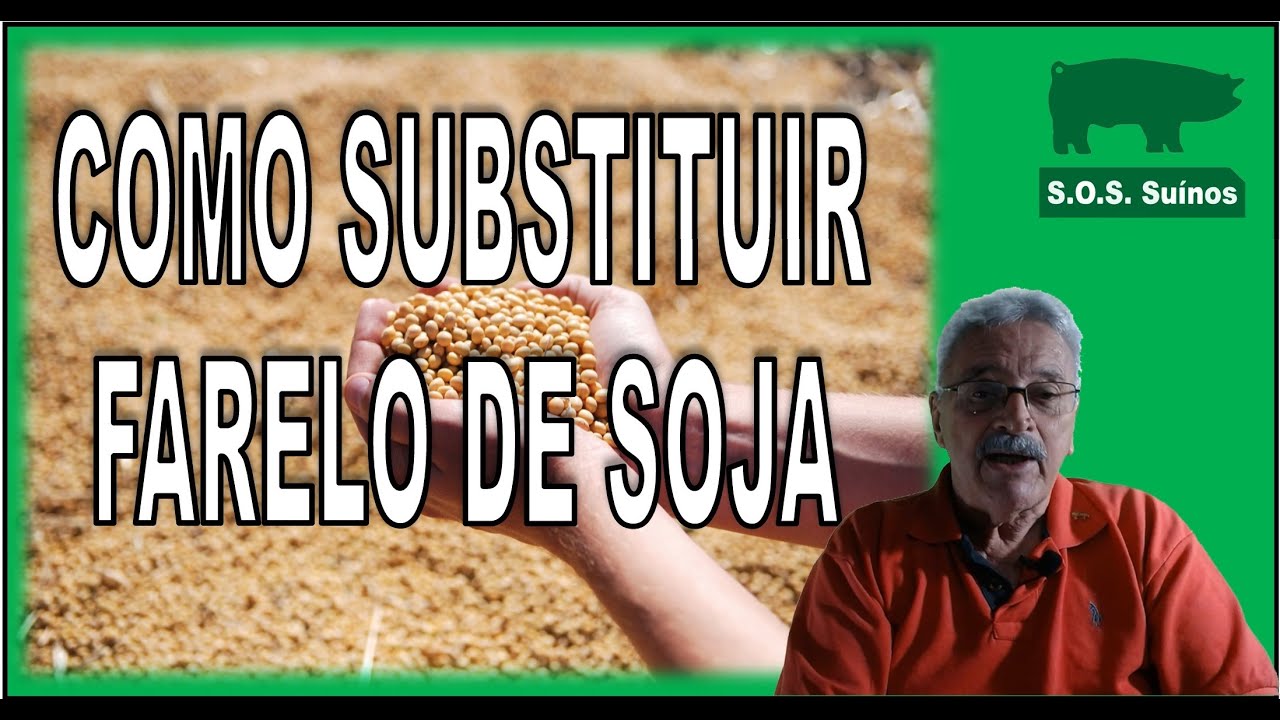 SUINOCULTURA: Como Substituir Farelo de Soja nas Rações.