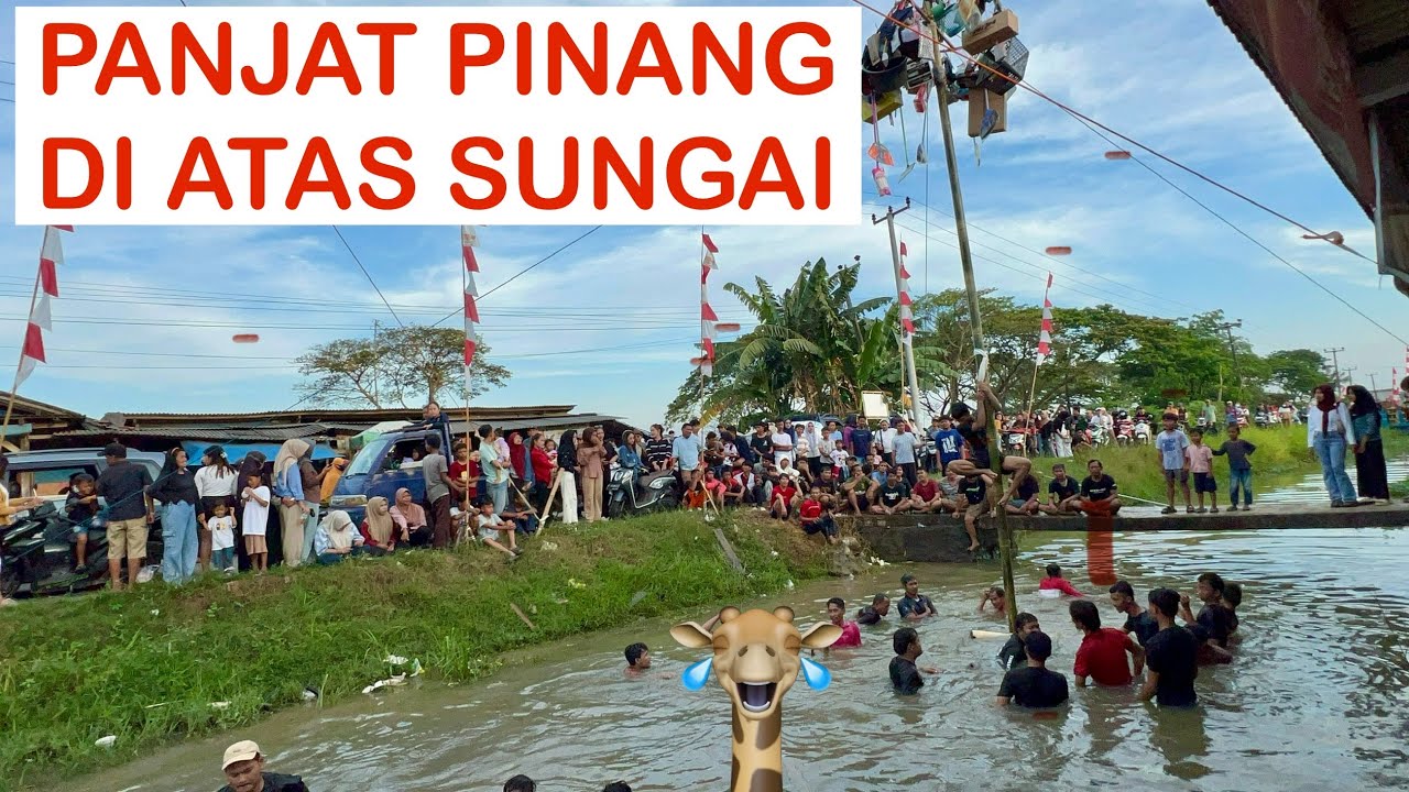 LOMBA PANJAT PINANG DIATAS SUNGAI, HUT RI KE 80 
