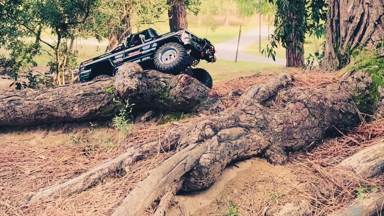 Traxxas TRX-4 Ford F150 