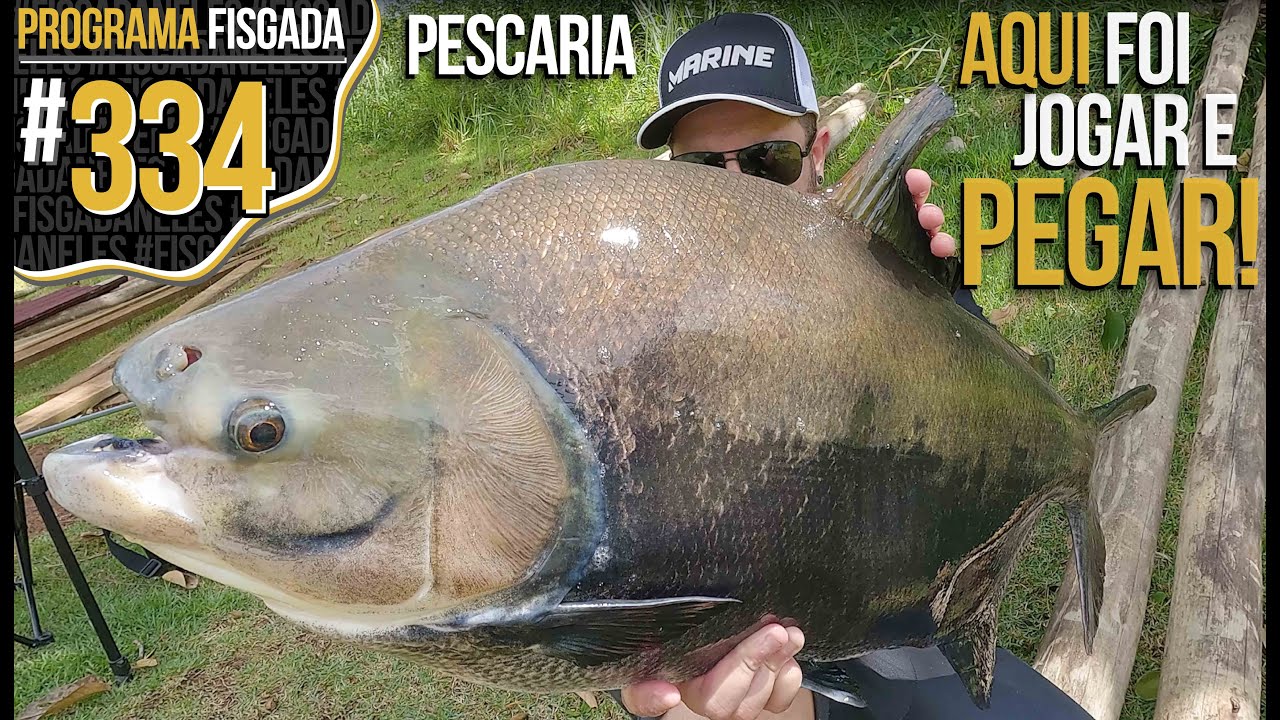 AQUI FOI JOGAR E PEGAR! (PESCARIA)