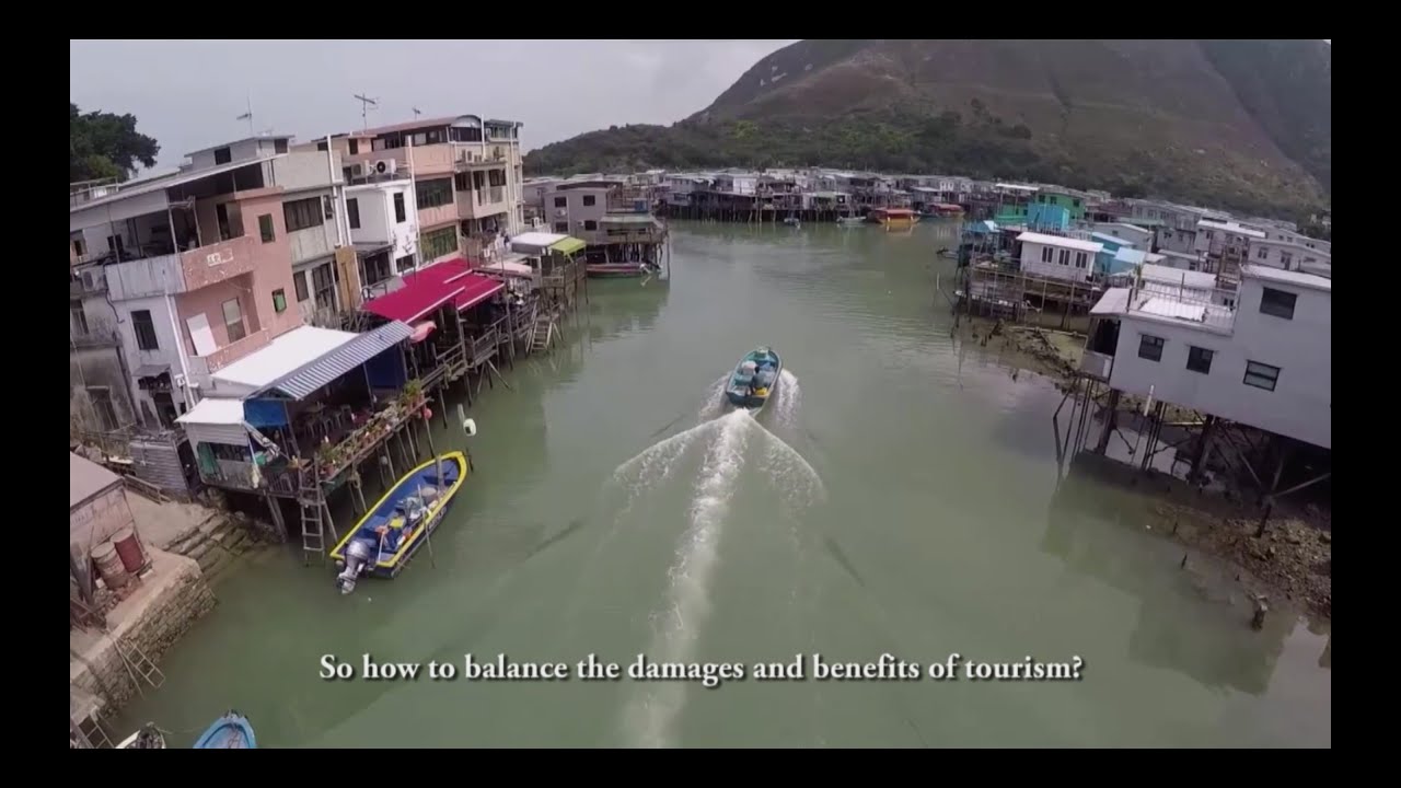 Chinese White Dolphin - By HKUST Students