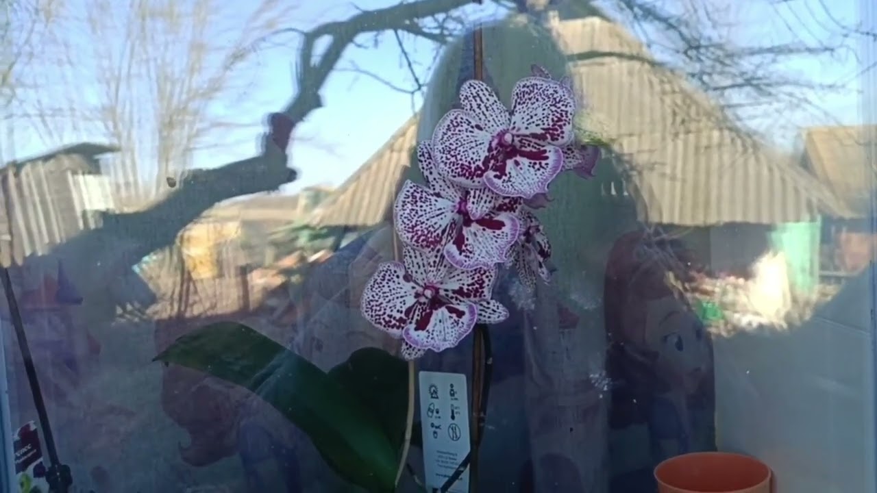 Погода супер👍🌞