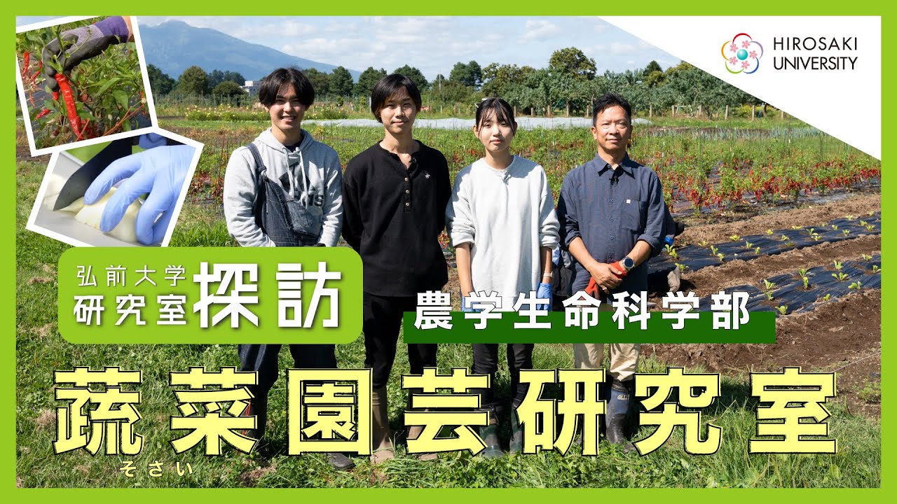 【弘前大学 研究室探訪！】～農学生命科学部 蔬菜園芸学研究室（前田智雄教授）編～