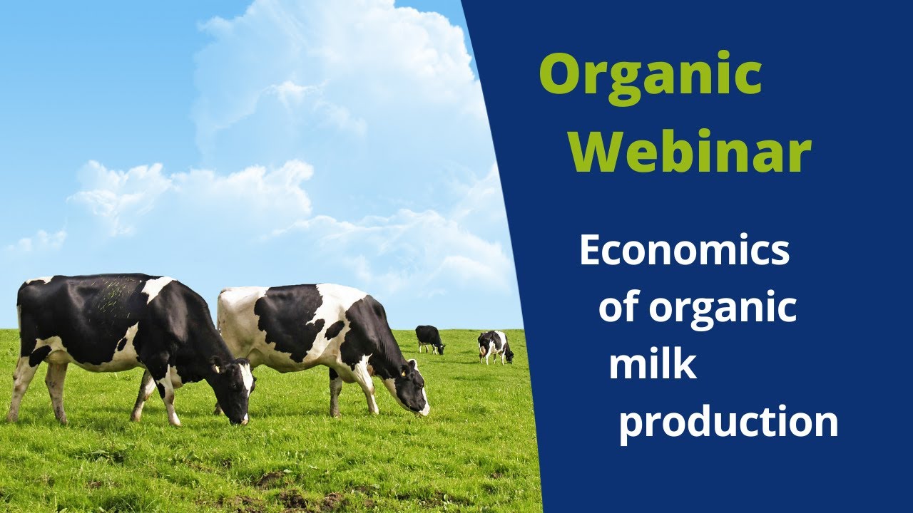 Economics of organic milk production | ForFarmers