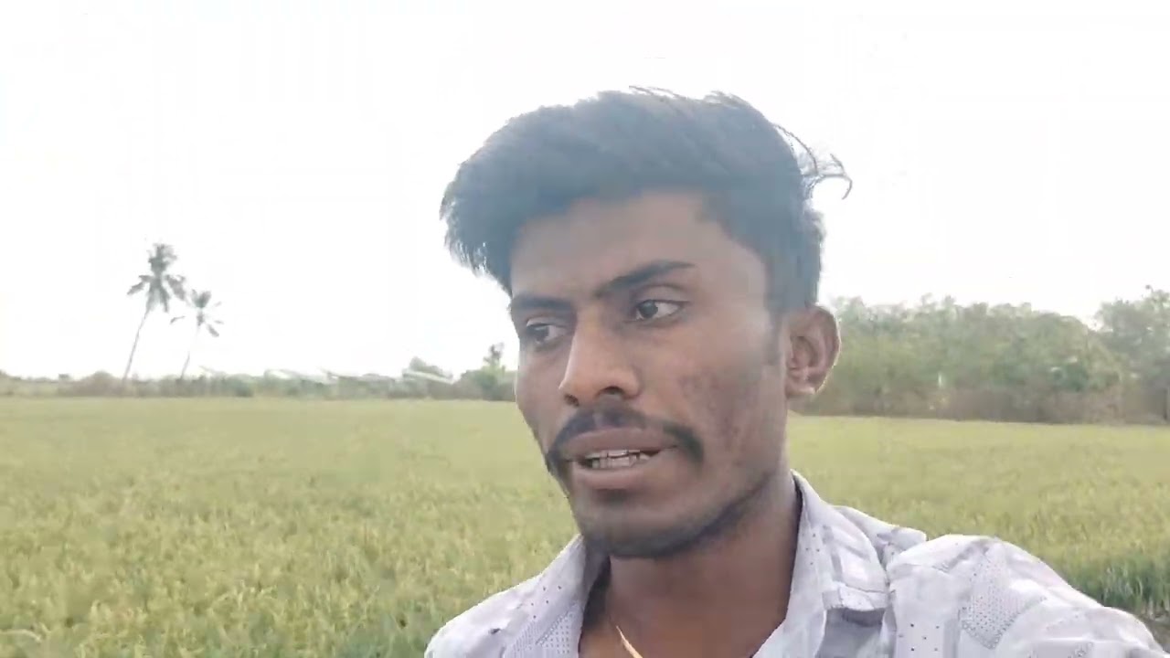 વાડીની મોજ 😍ઘવ ની ધાર કરવા ગયા 😍