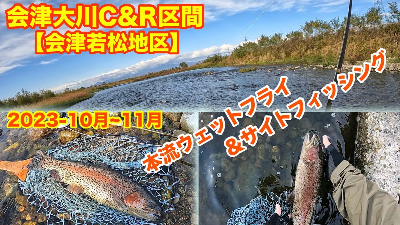 2023会津大川C&R区間【会津若松地区】10月~11月