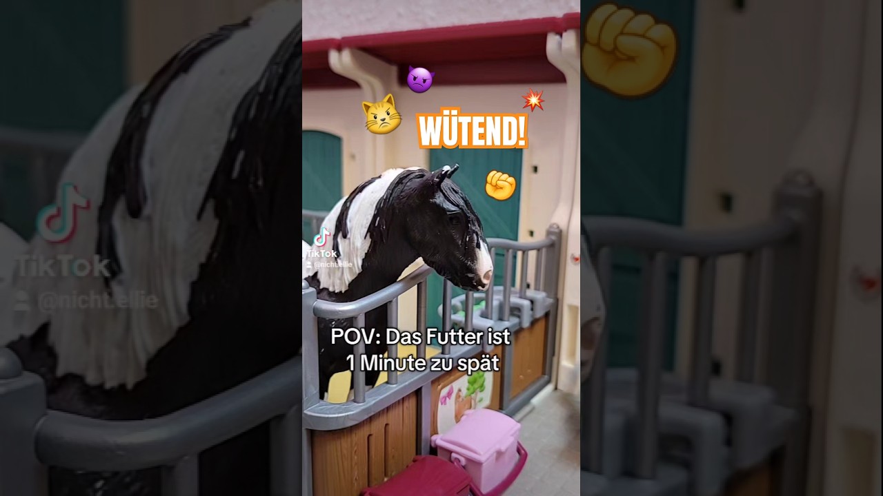 Ich stehe kurz vorm ausrasten! 😾 