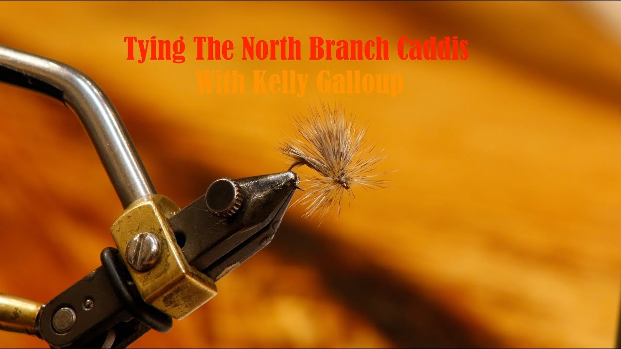 Tying The North Branch Caddis with Kelly Galloup