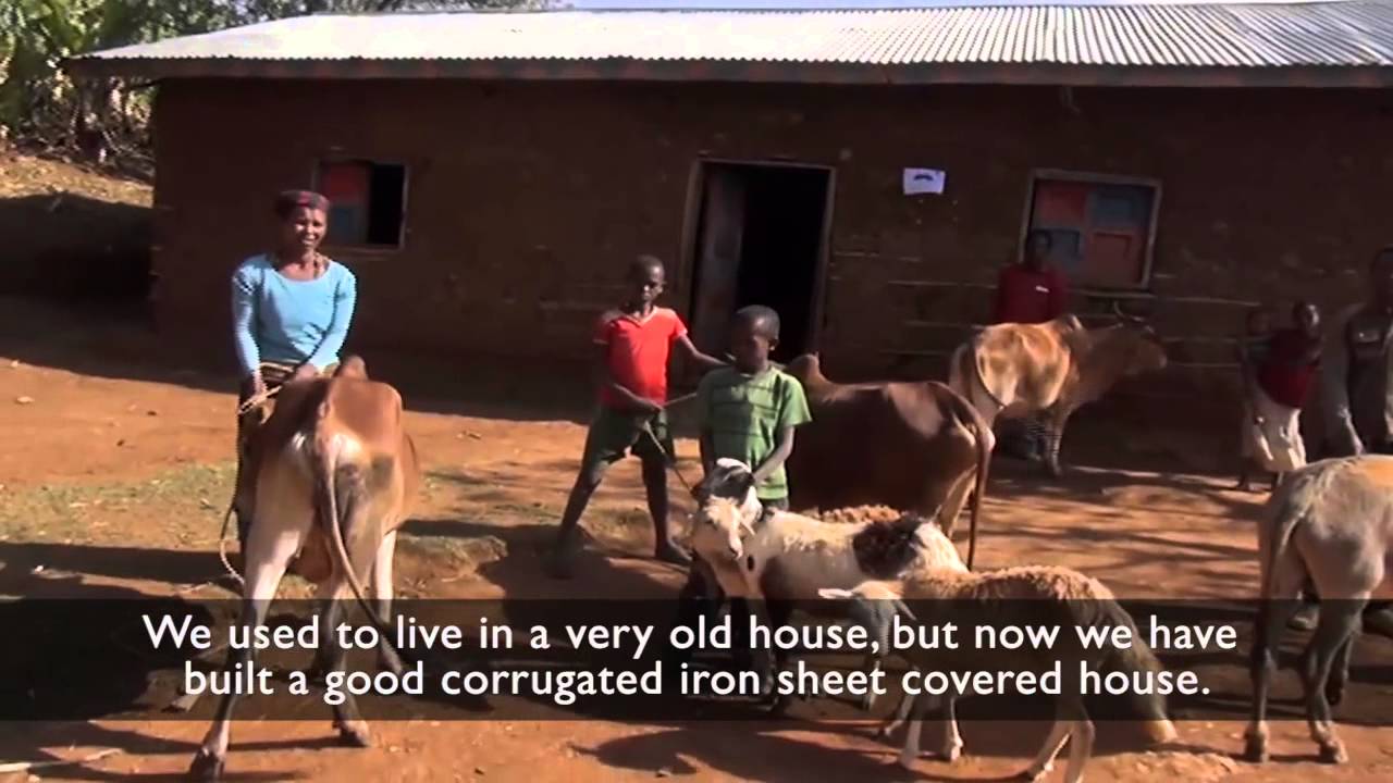 Sponsorship transforms lives in Damota, Ethiopia | World Vision
