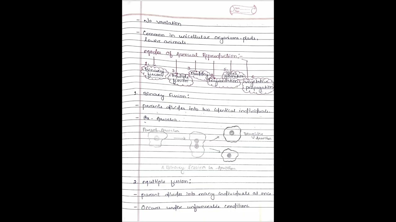 CBSE Class 12 Biology Chapter 1 Complete One Shot | NCERT Based