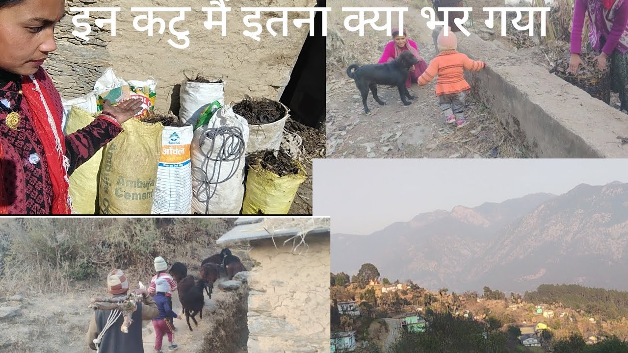 मैं भी गोबर डालने का नया तरीका ढूंढ लिया।।पहाड़ों में गोबर डालनाशुरू।।@HinuVlogsUttarakhandi पहाड़ी 