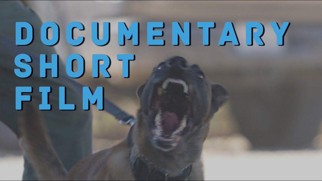 In Canis Confiderus - Documentary Short Film [4K]