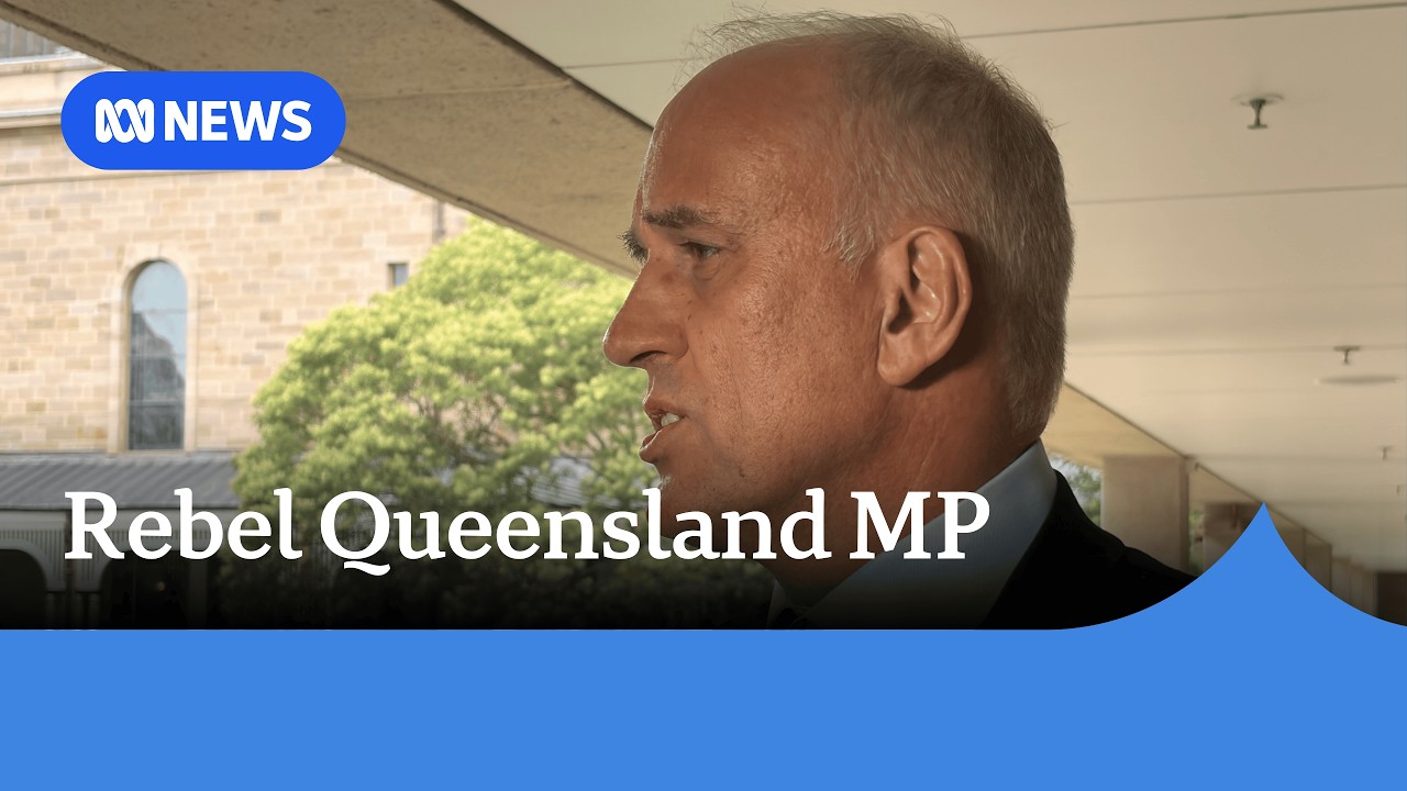 Rebel Queensland LNP MP defends his decision to defy his party on abortion laws | ABC NEWS