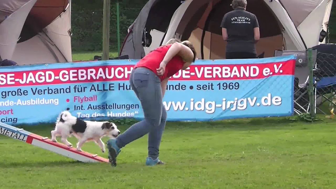 Agility Ruhr-Meisterschaft 015 - IRJGV Fun Jumper
