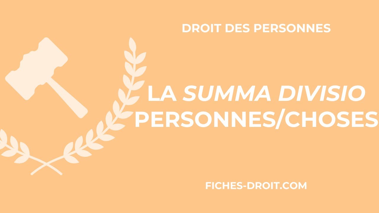 La summa divisio personnes / choses