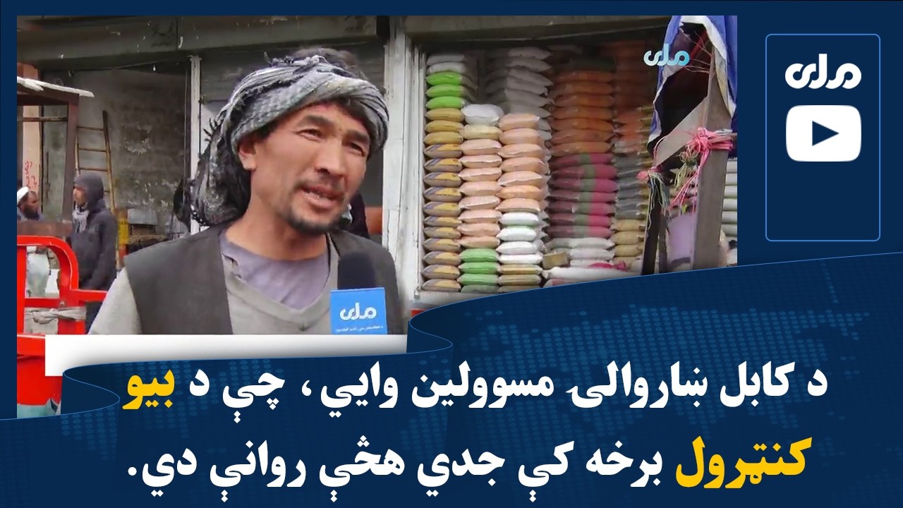 د کابل ښاروالۍ مسوولین وایي، چې د بیو کنټرول برخه کې جدي هڅې روانې دي