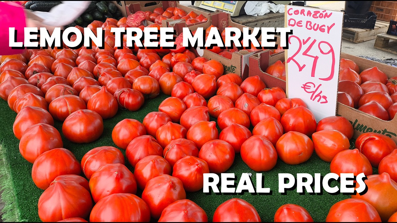 Lemon Tree Market Torrevieja 2026 🍋 Biggest Sunday Market Near Torrevieja