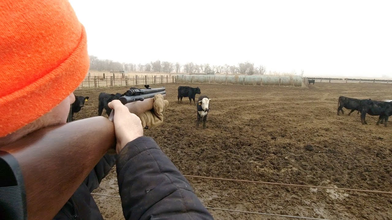 Real life Farming