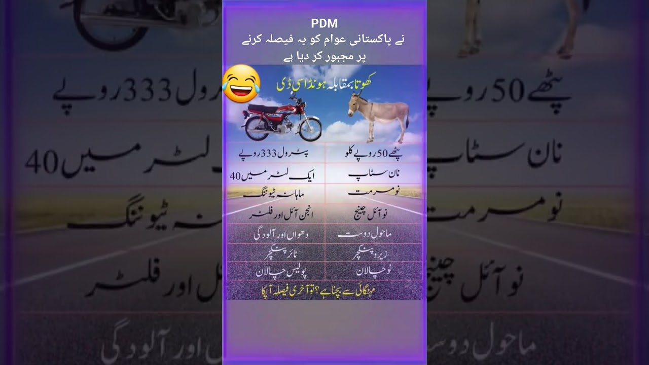 PDM government performance in 2023