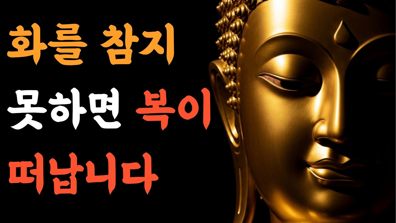화를 참지 못하면 인생에서 벌어지는 일 | 부처님 말씀 | 불교명언 | 법구경