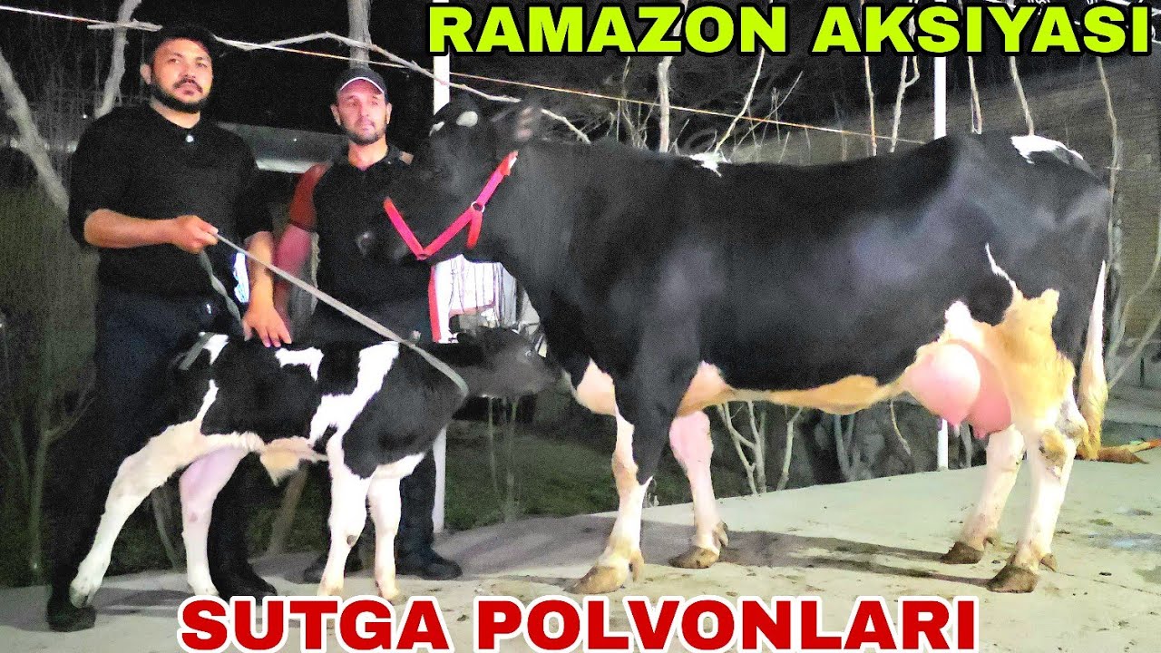 Buxoro arzonchisi Mizrobjon va Ashur akadan bugun yanada yengil va go'zallari 19-fevral, 2026