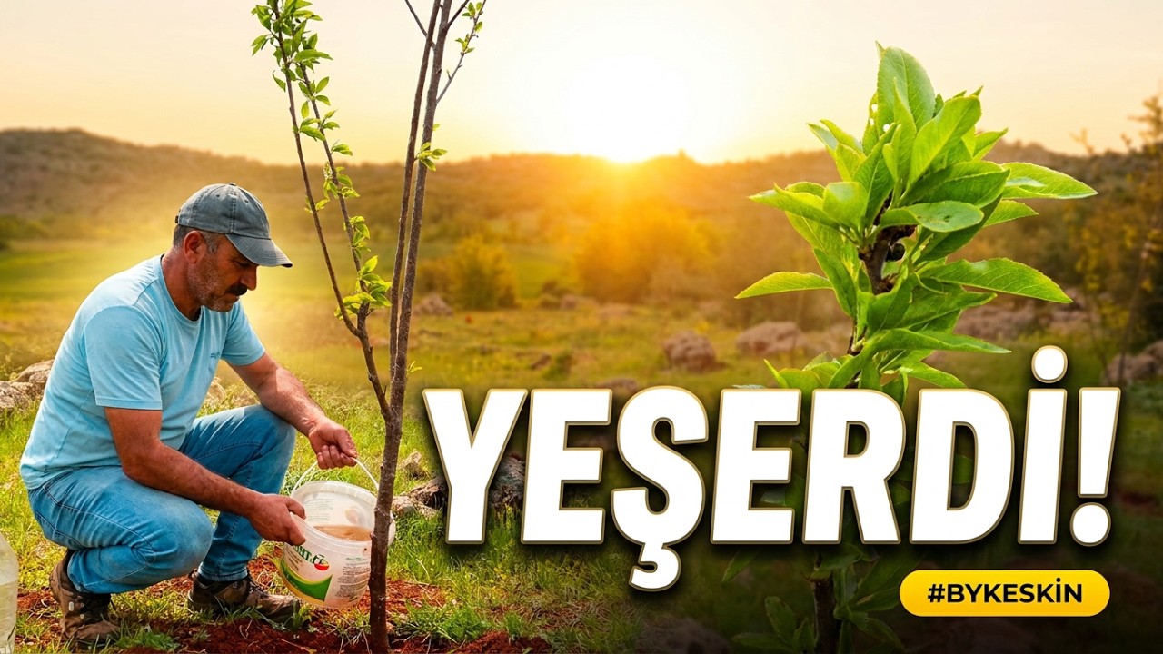 Ağaçlarımız yeşerdi | Bahar Geldi | 6. Bölüm #düdenyaylası #bykeskin