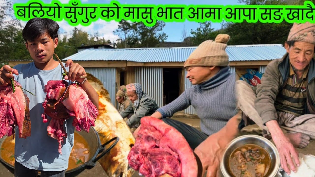 बलियो सुँगुर को मासु भात आमा आपा सङ्गै बसेर मजाले खाइयो Porck Cutting Khotang Village Nepal #khotang