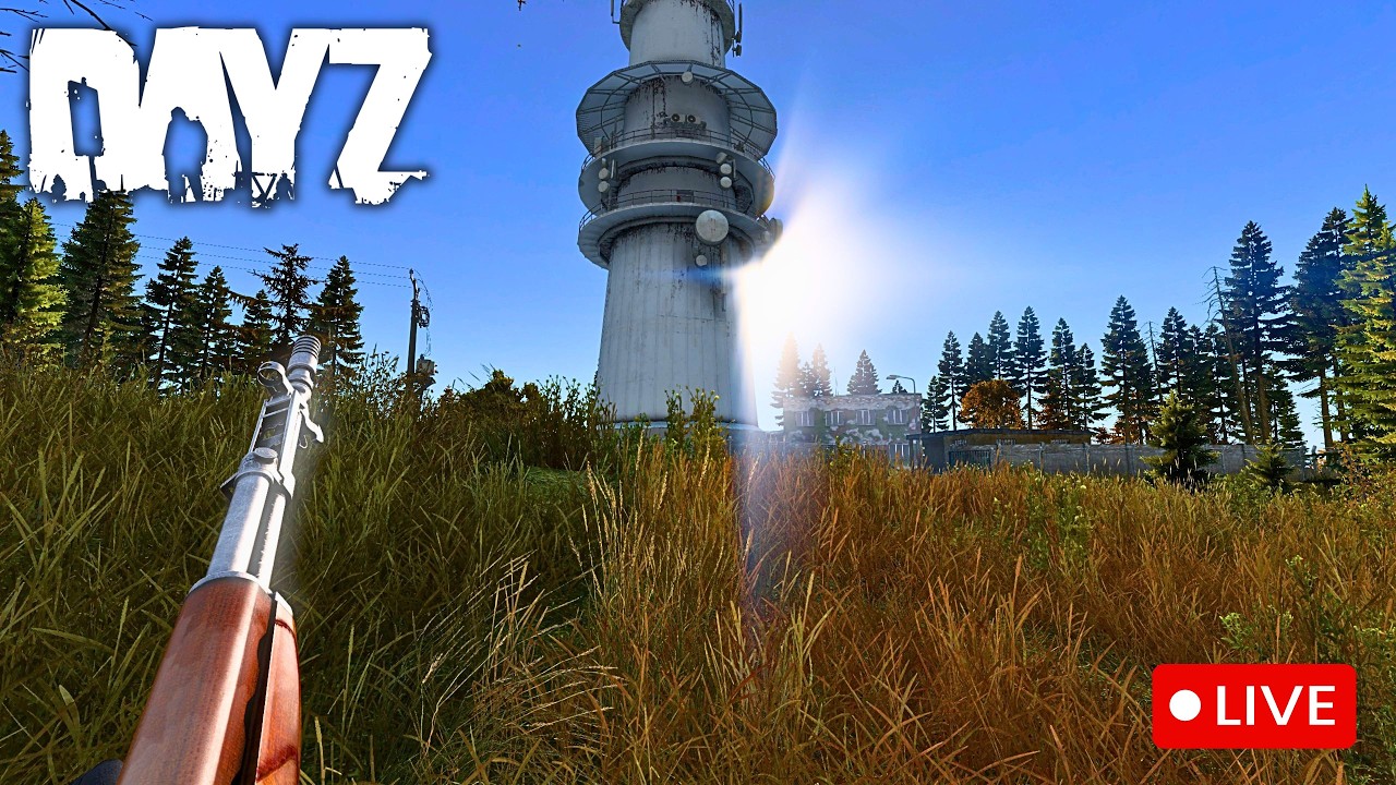 Chernarus SOLO Questing Attempt! | DayZ Live 1440p