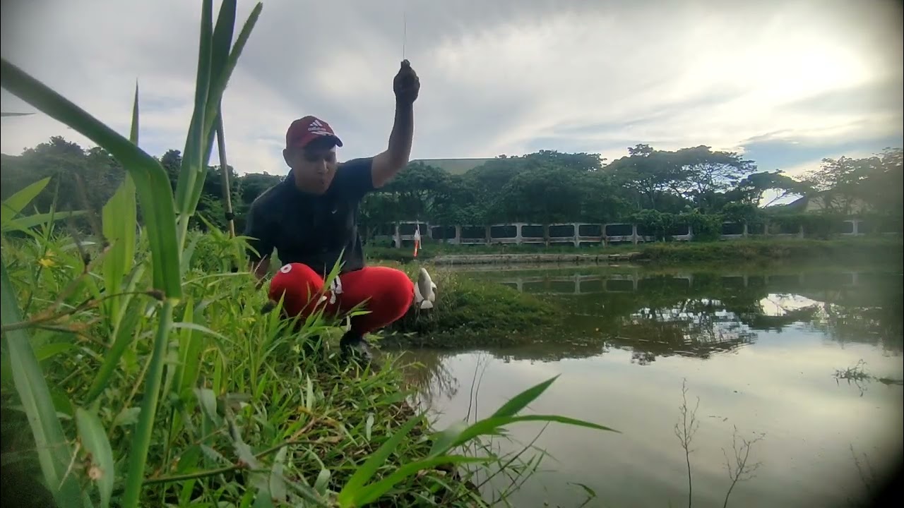Keseruan mancing ikan nila di kolam liar