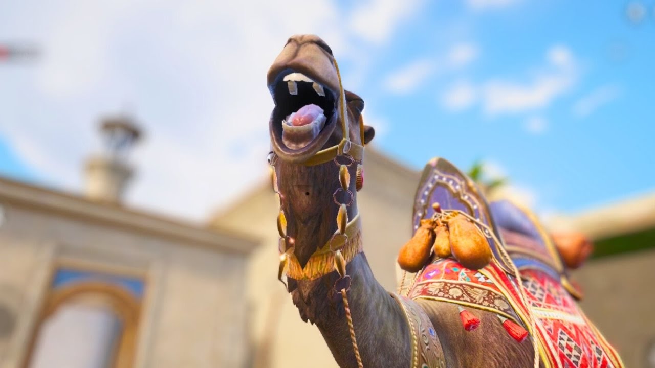 This camel is very disturbing in pubg mobile