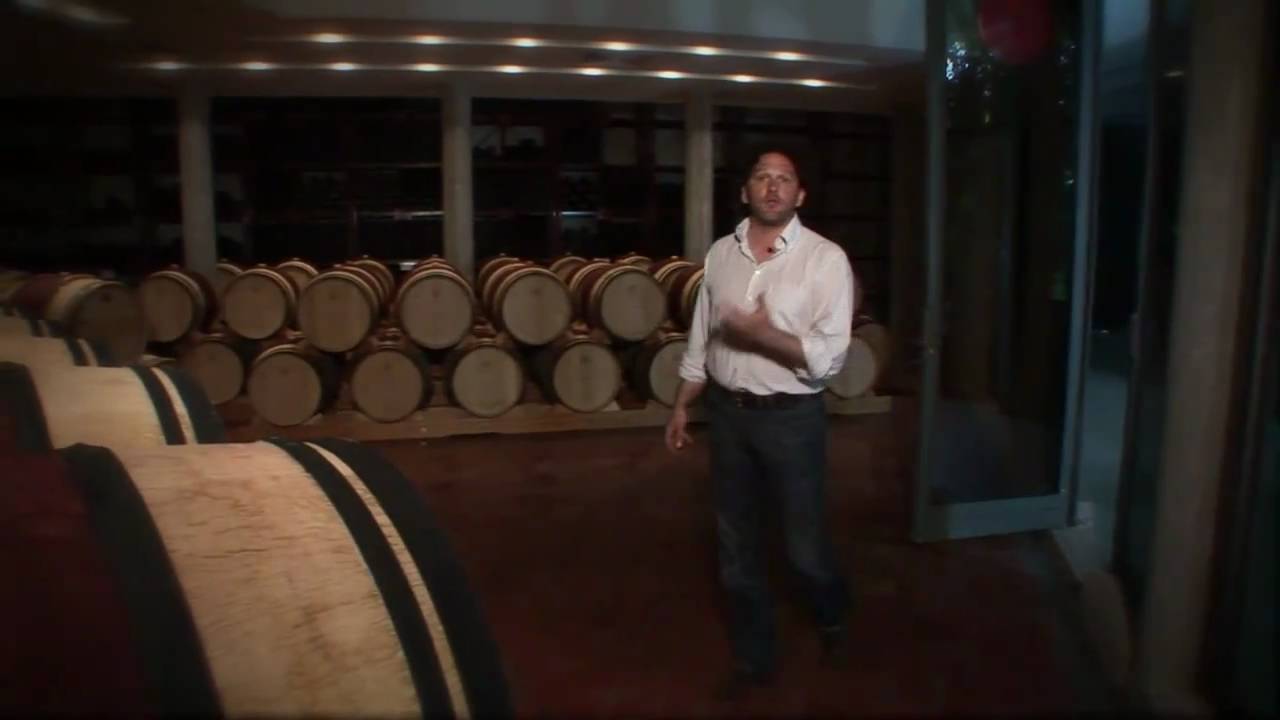 Axel Heinz speaks about Masseto wine