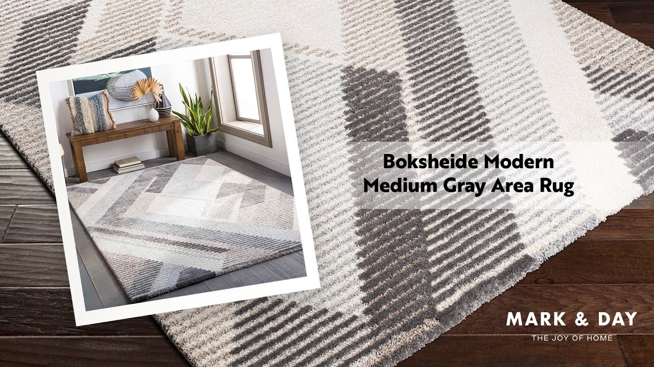 Boksheide Modern Medium Gray Area Rug