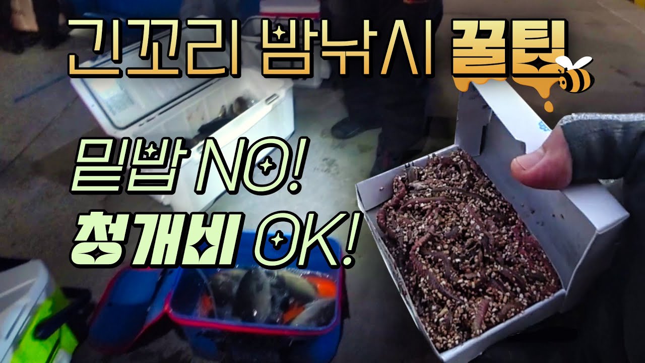 밤에 청개비만으로 긴꼬리벵에돔 잡는 방법🍯🐝(ft.구독자만남, 6월14일)