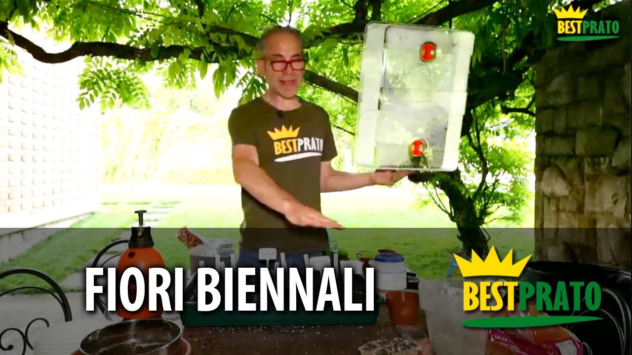 COME SEMINARE I FIORI BIENNALI (VIDEO PRATICO)