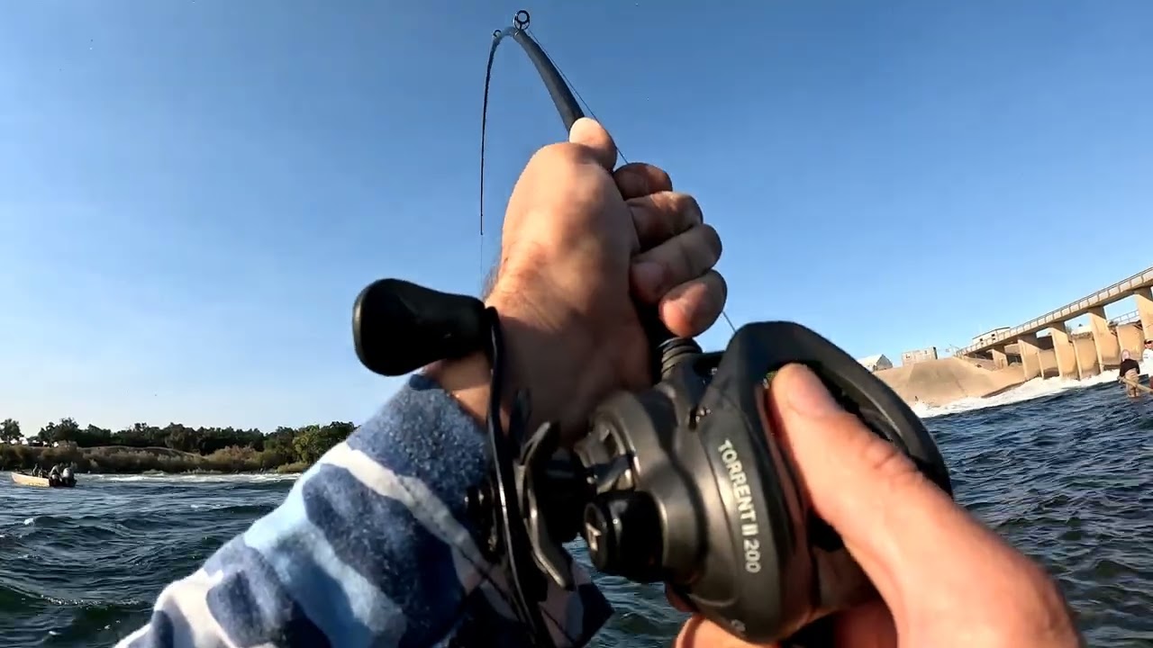 Salmon fishing FISH ON! Feather River ca
