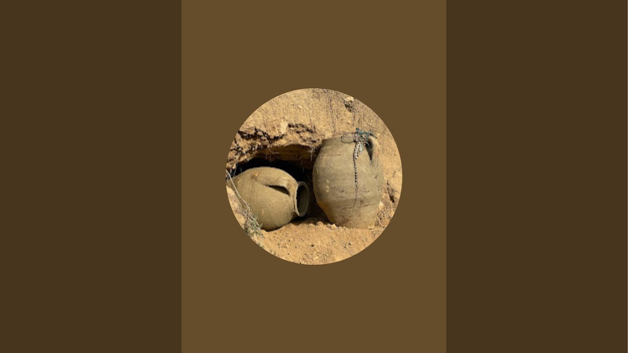 Live Metal Detecting Gold Hunting #metaldetecting #shortsfeed #viral #treasure #gold #shortsfeed