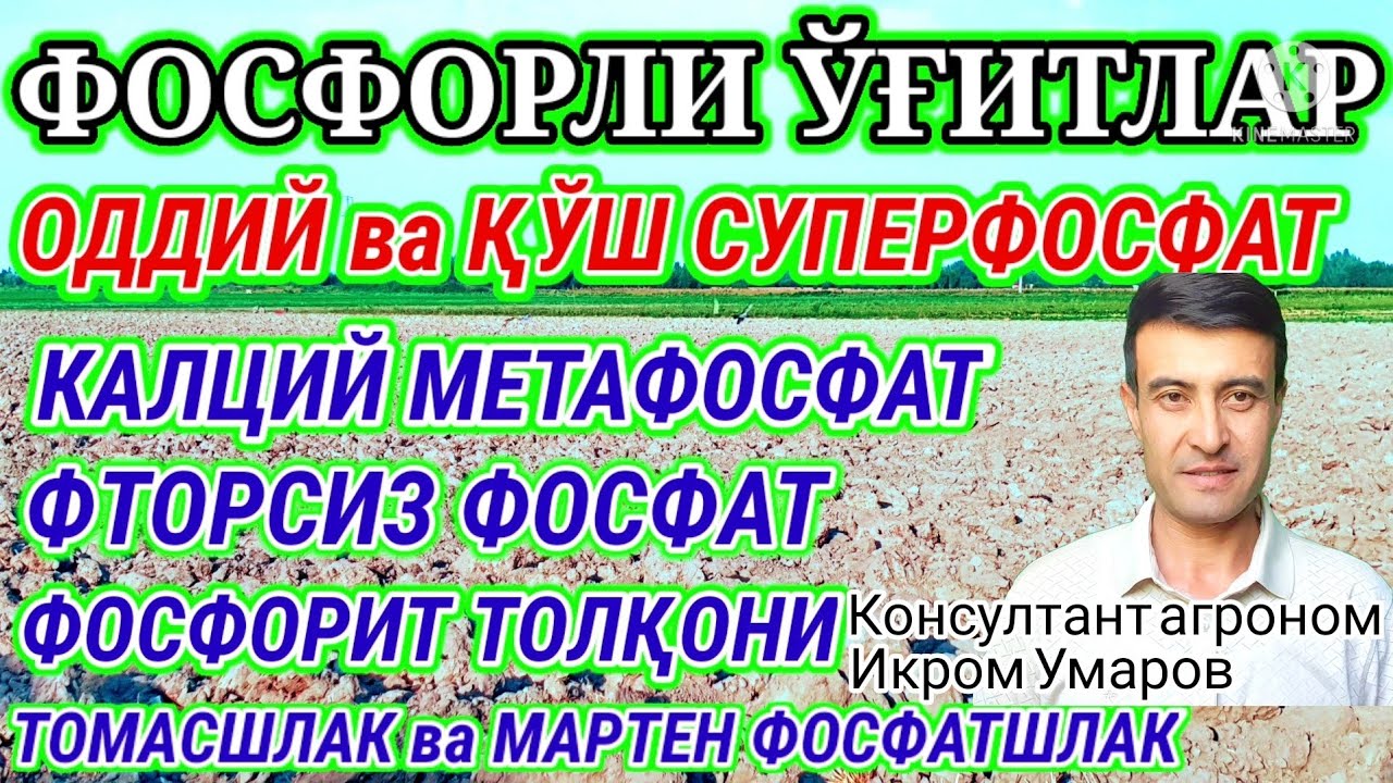 FOSFORLI O‘G‘ITLARNI TURLARI: SUPERFOSFAT, FOSFORIT.. 111-son. ФОСФОРЛИ УГИТЛАР