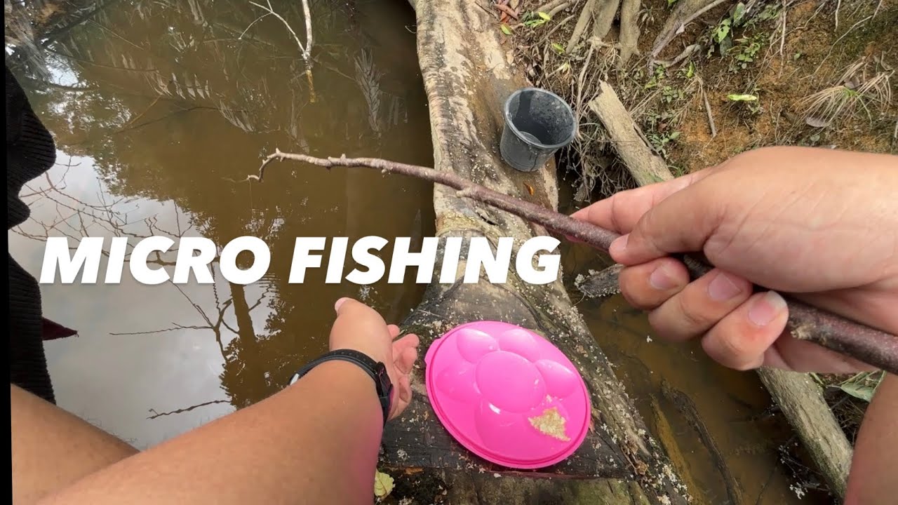 MICRO FISHING IN RAINFOREST 