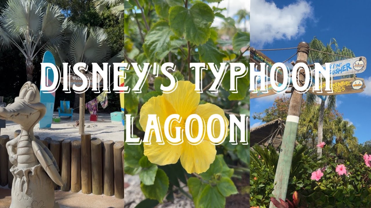 Day at Disney's Typhoon Lagoon…in January?