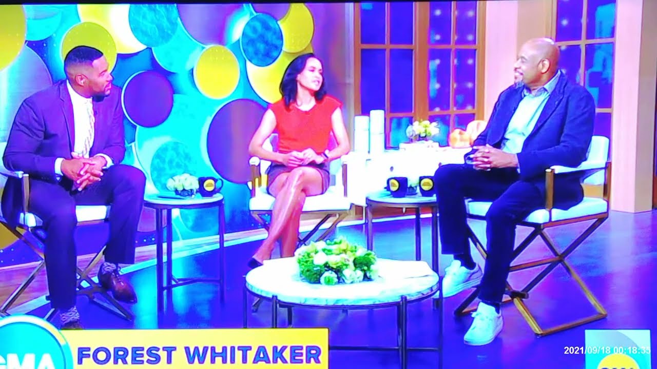Linsey Davis Smoking Hot Shiny Legs in a Brown Mini on ABC Good Morning America!