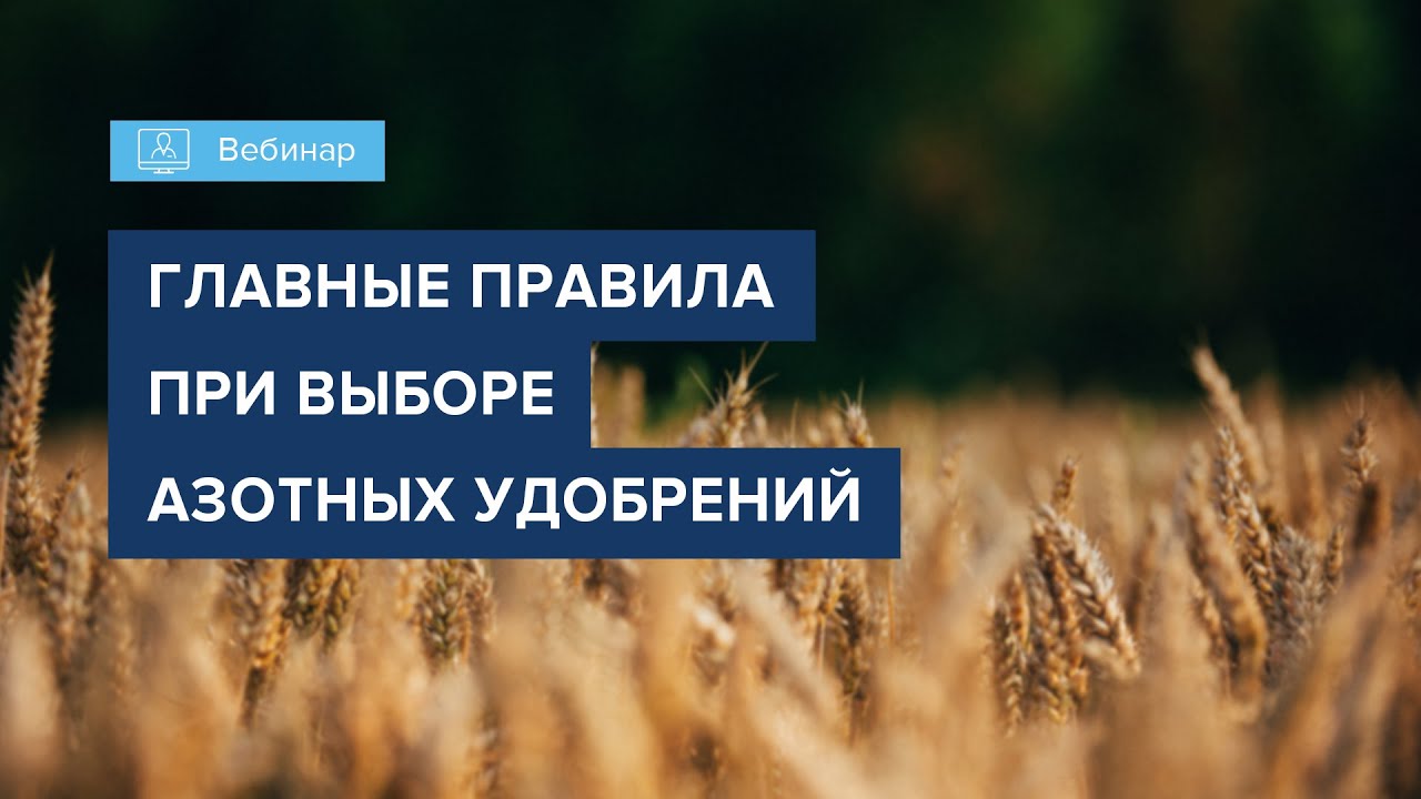 Вебинар 