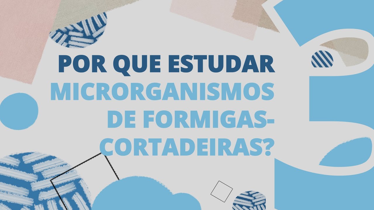 Papo Acadêmico |  Por que estudar microrganismos de formigas-cortadeiras?